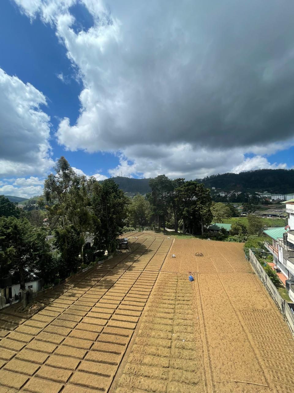 Premium bedroom interior